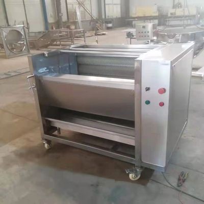 红薯毛辊清洗机 果蔬全自动清洗机 土豆山芋清洗去皮机图4