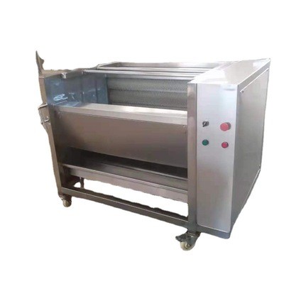 土豆多功能去皮机 商用红薯毛辊清洗机设备 芋头毛刷去皮机图4