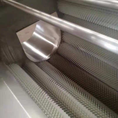 土豆多功能去皮机 商用红薯毛辊清洗机设备 芋头毛刷去皮机图5