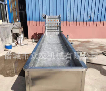 寿光全自动蔬菜清洗机 气泡冲浪洗菜机 果蔬冲洗线 新鲜果蔬图3