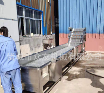 寿光全自动蔬菜清洗机 气泡冲浪洗菜机 果蔬冲洗线 新鲜果蔬图5