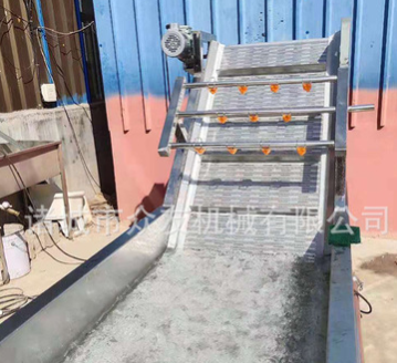 寿光全自动蔬菜清洗机 气泡冲浪洗菜机 果蔬冲洗线 新鲜果蔬图2