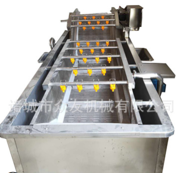 寿光全自动蔬菜清洗机 气泡冲浪洗菜机 果蔬冲洗线 新鲜果蔬图4