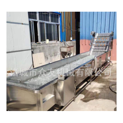寿光全自动蔬菜清洗机 气泡冲浪洗菜机 果蔬冲洗线 新鲜果蔬