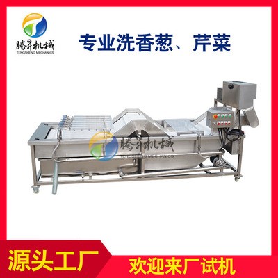 现货供应 大型香葱芹菜清洗机 洗葱机 大葱清洗设备 可定制