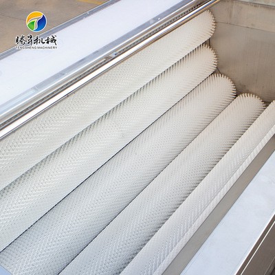 中型胡萝卜去皮清洗机 土豆清洗去皮一体机 红薯地瓜清洗去泥机图2