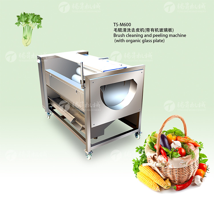 TS-M600清洗去皮机(750px)_01.jpg