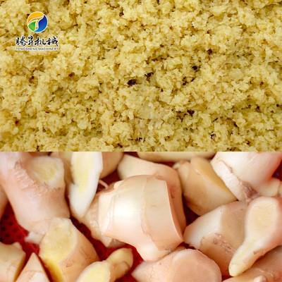 厨房设备 小型立式蒜蓉打泥机 电动马蹄搅碎机 玉米打浆机 不锈钢图5