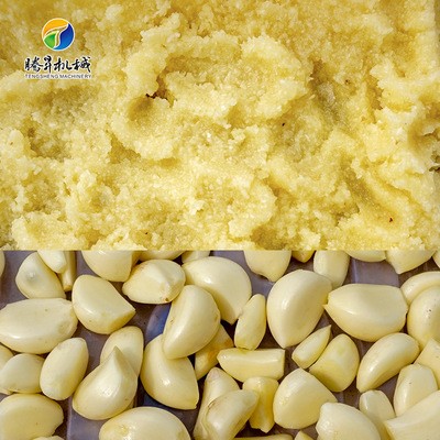 厨房设备 小型立式蒜蓉打泥机 电动马蹄搅碎机 玉米打浆机 不锈钢图4