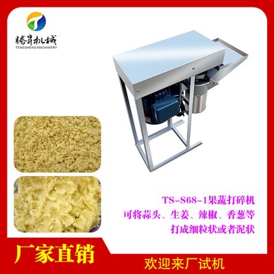 厨房设备 小型立式蒜蓉打泥机 电动马蹄搅碎机 玉米打浆机 不锈钢