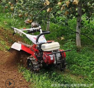 贵阳市果园耕地机 山地翻地松土机 自走式翻地机图4