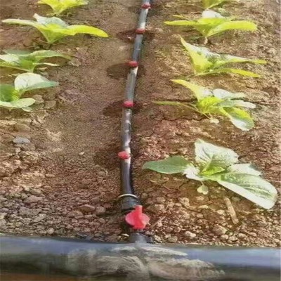 工厂供货 8孔地插式可调滴头 小红帽滴头 流量可调式滴头图4