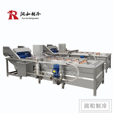 连续式叶菜类清洗线 连锁餐饮中央厨房洗菜机 全自动蔬菜清洗机图5