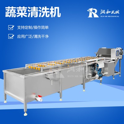 直供蔬菜清洗设备 全自动净菜清洗配套线 大型叶菜清洗机图2