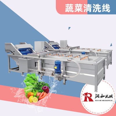 蔬菜清洗机 气泡式芹菜去泥清洗线 全不锈钢自动果蔬清洗机