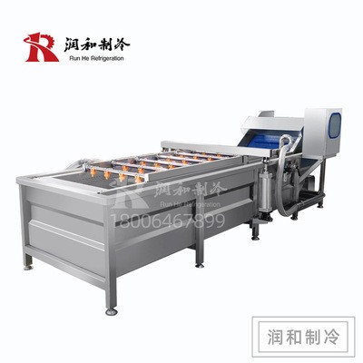 蔬菜清洗机 气泡式芹菜去泥清洗线 全不锈钢自动果蔬清洗机图5