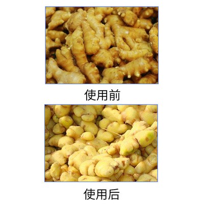 全自动洗姜机大姜 去泥清洗机 生姜小黄姜清洗设备厂家供应定制款图4