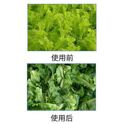 食品脱油蔬菜脱水甩干机 不锈钢脱水机 元享机械用离心小型脱水机图4