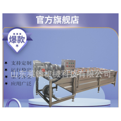 气泡冲浪喷淋洗果机 龙须菜车前草清洗机器 中草药薄荷气泡清洗机