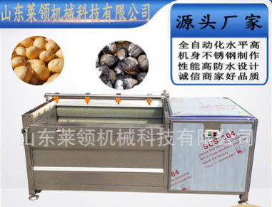 海螺去泥清洗机 商用洗板蓝根设备 莲藕去皮清洗机图2