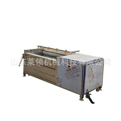 海螺去泥清洗机 商用洗板蓝根设备 莲藕去皮清洗机图5