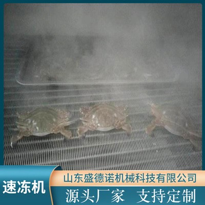 供应隧道式速冻机 食品速冻机设备 全自动海鲜速冻机器图4