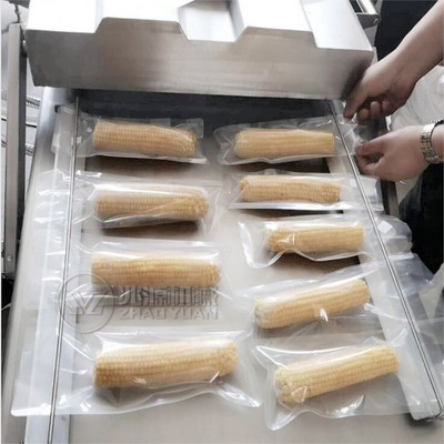 干湿两用真空抽气机 带汤酸菜真空包装机 商用大型600双室抽气机