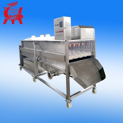 不锈钢全自动自土豆毛辊去皮清洗机 莲藕气泡毛辊清洗机设备批发图3