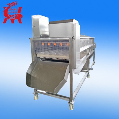 不锈钢全自动自土豆毛辊去皮清洗机 莲藕气泡毛辊清洗机设备批发图2