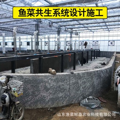 鱼菜共生系统设备研发 鱼菜共生设计与安装图3