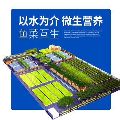 鱼菜共生系统设备研发 鱼菜共生设计与安装图4
