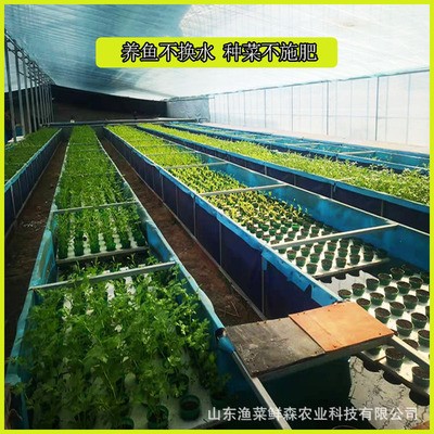 鱼菜共生系统设备研发 鱼菜共生设计与安装