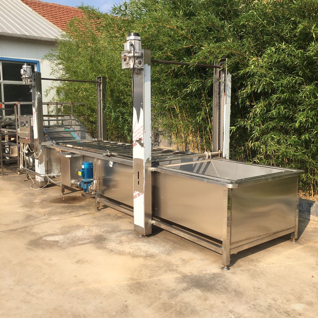 竹笋清洗漂烫机莴笋杀青机海鲜清洗机支持定制图5