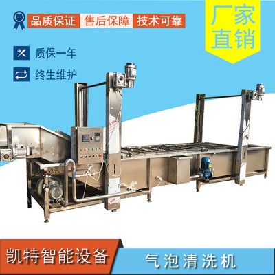 艾草清洗机葡萄干清洗机萝卜加工全套设备厂家销售支持定制图3