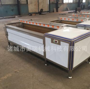 马铃薯毛辊清洗机 芋头毛辊清洗机 毛辊去泥清洗机厂家批发图2