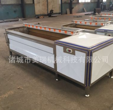 软毛刷毛辊清洗机 莲藕清洗去泥机 不破坏表皮图2