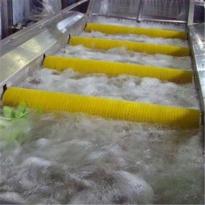 洗菜气泡清洗机 红薯土豆喷淋式果蔬清洗机 全自动苹果橘子清洗机图5