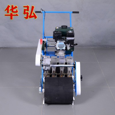 供应蔬菜播种机 香菜菠菜精播机 汽油蔬菜播种机小粒种子点播机图5