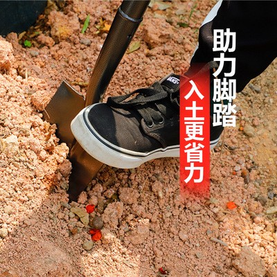 碳钢铁锹挖树铁锨家用农用铲子户外挖土植树园林园艺工具图3