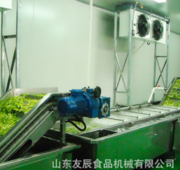 草菇蘑菇清洗机 油菜西蓝花涡流清洗机 茄子净菜深加工清洗加工厂