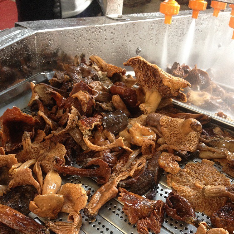 草菇蘑菇清洗机 油菜西蓝花涡流清洗机 茄子净菜深加工清洗加工厂图4