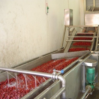 香菇菌类清洗机 净菜蔬菜清洗加工生产线厂家 杂粮清洗设备生产线