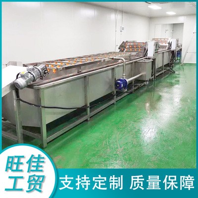 西兰花菜花清洗机 龙须菜清洗设备 不锈钢果蔬气泡清洗流水线图4