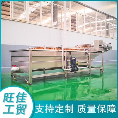 西兰花菜花清洗机 龙须菜清洗设备 不锈钢果蔬气泡清洗流水线图3