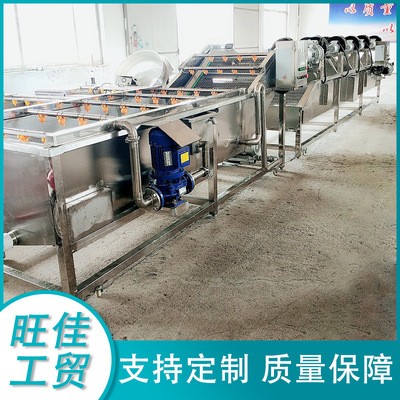西兰花菜花清洗机 龙须菜清洗设备 不锈钢果蔬气泡清洗流水线图2