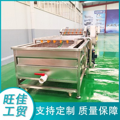 厂家供应 韭菜气泡清洗机 白菜去泡清洗流水线 不锈钢清洗设备图2