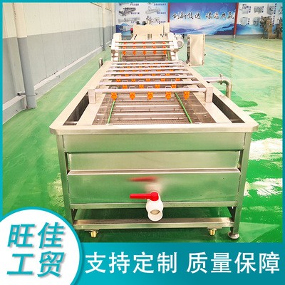 厂家供应 韭菜气泡清洗机 白菜去泡清洗流水线 不锈钢清洗设备图4