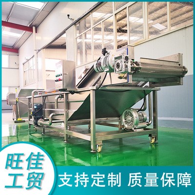 厂家供应 韭菜气泡清洗机 白菜去泡清洗流水线 不锈钢清洗设备图3