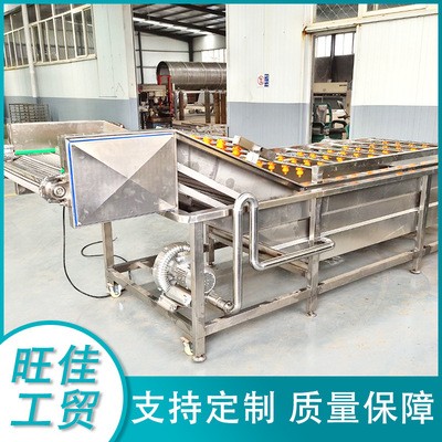 厂家供应 韭菜气泡清洗机 白菜去泡清洗流水线 不锈钢清洗设备图1