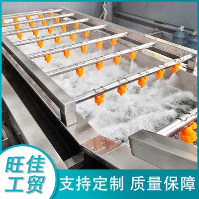 不锈钢全自动果蔬清洗线 高压气泡清洗机 油麦菜金针菇清洗设备图2